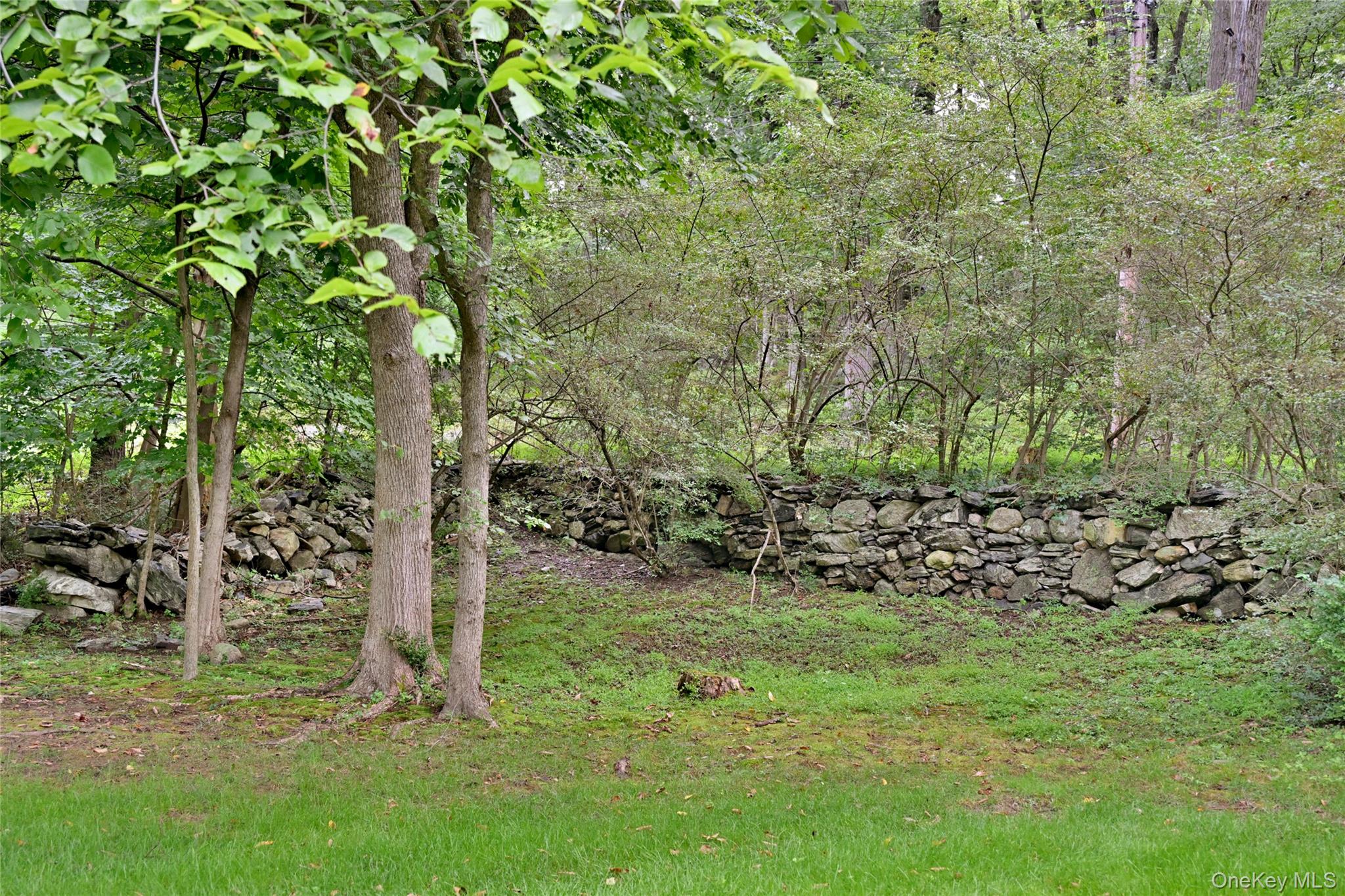 242 Seminary Hill Road Property Photo 44