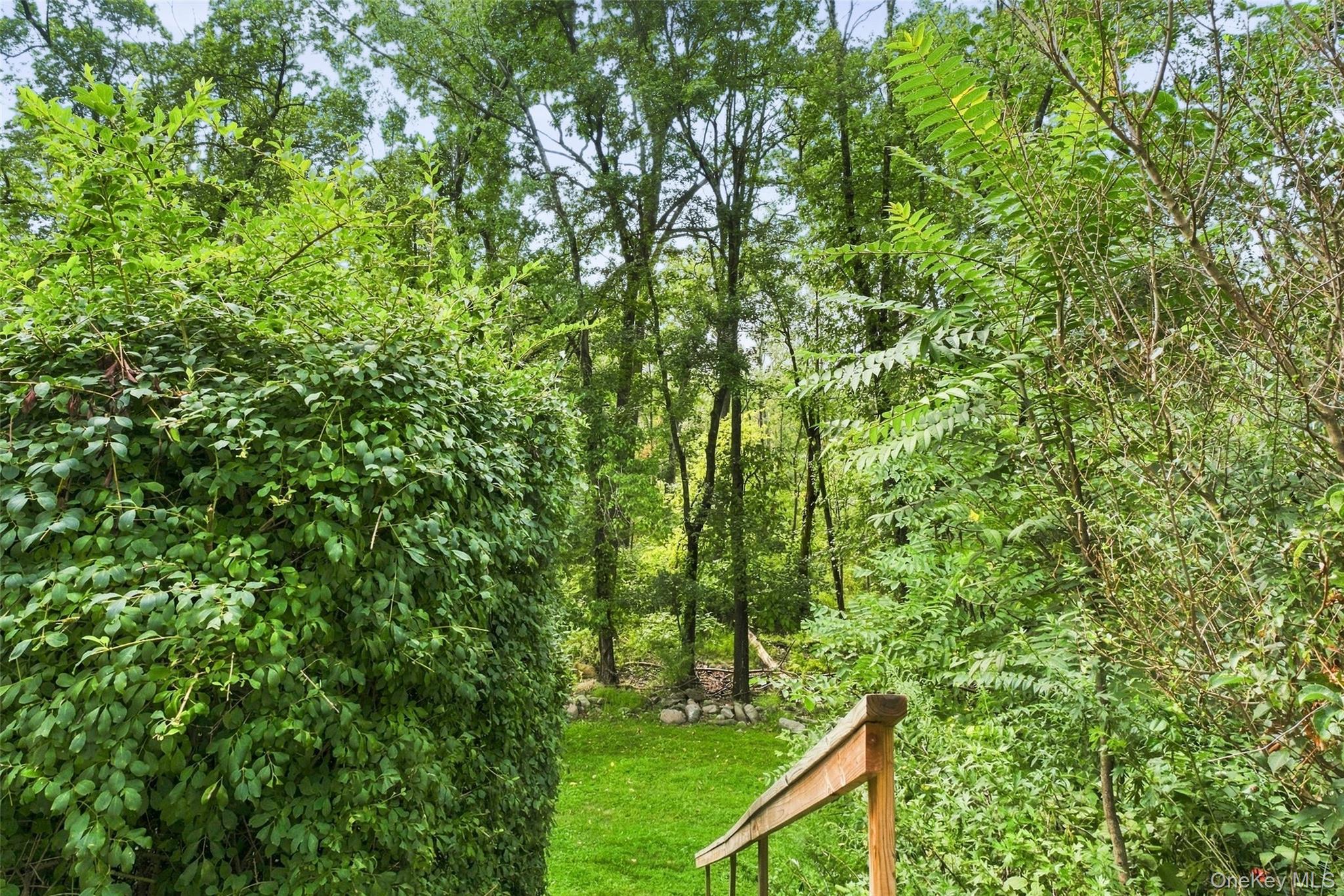 692 Mount Airy Road Property Photo 41