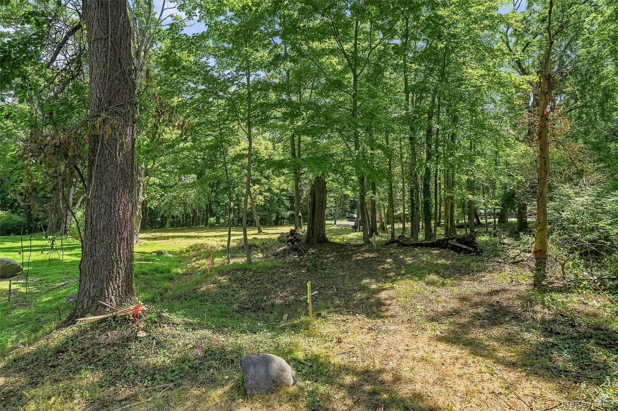 4 Davidson Drive Property Photo 7