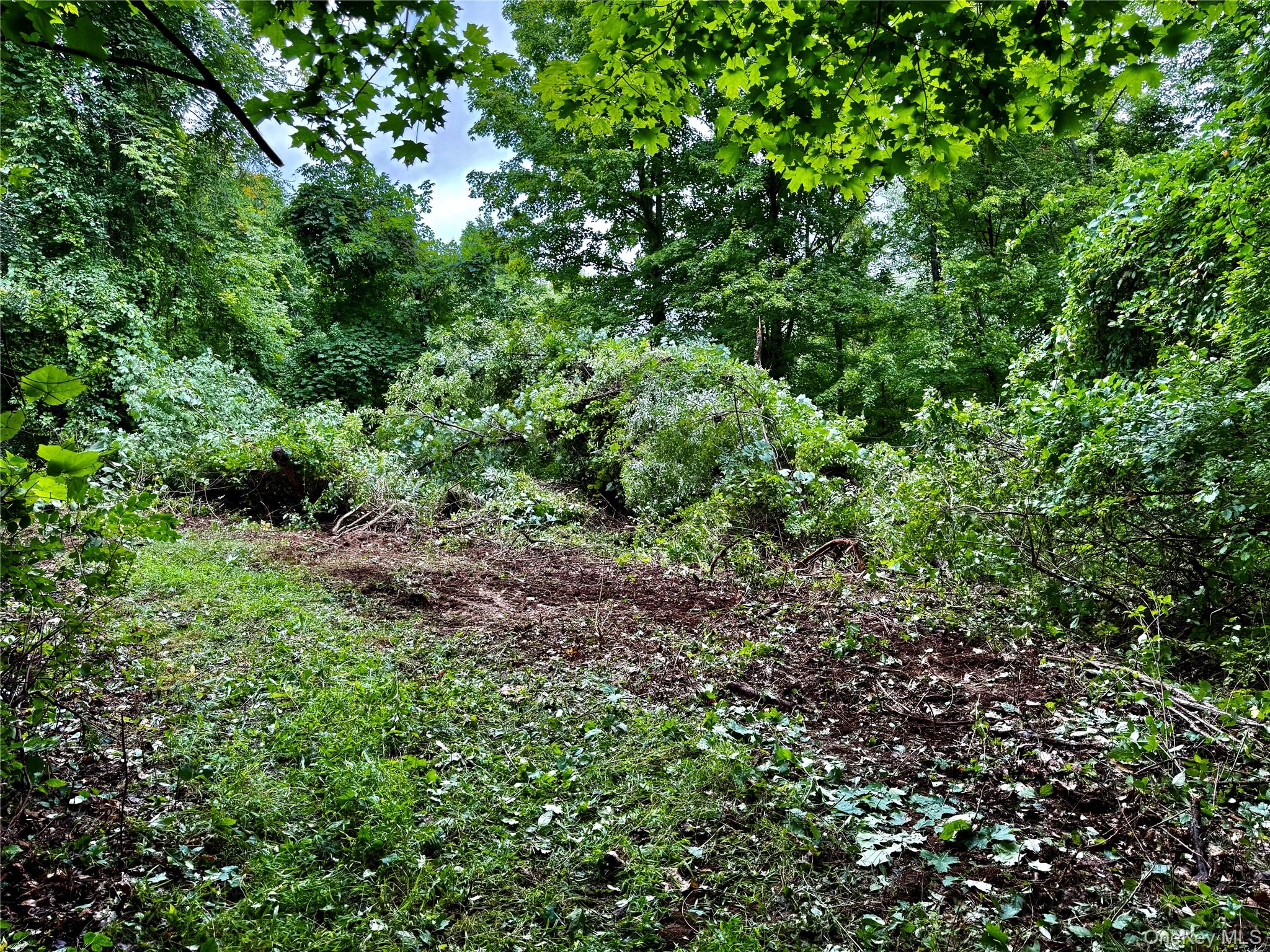 150 Weaver Road Property Photo 4