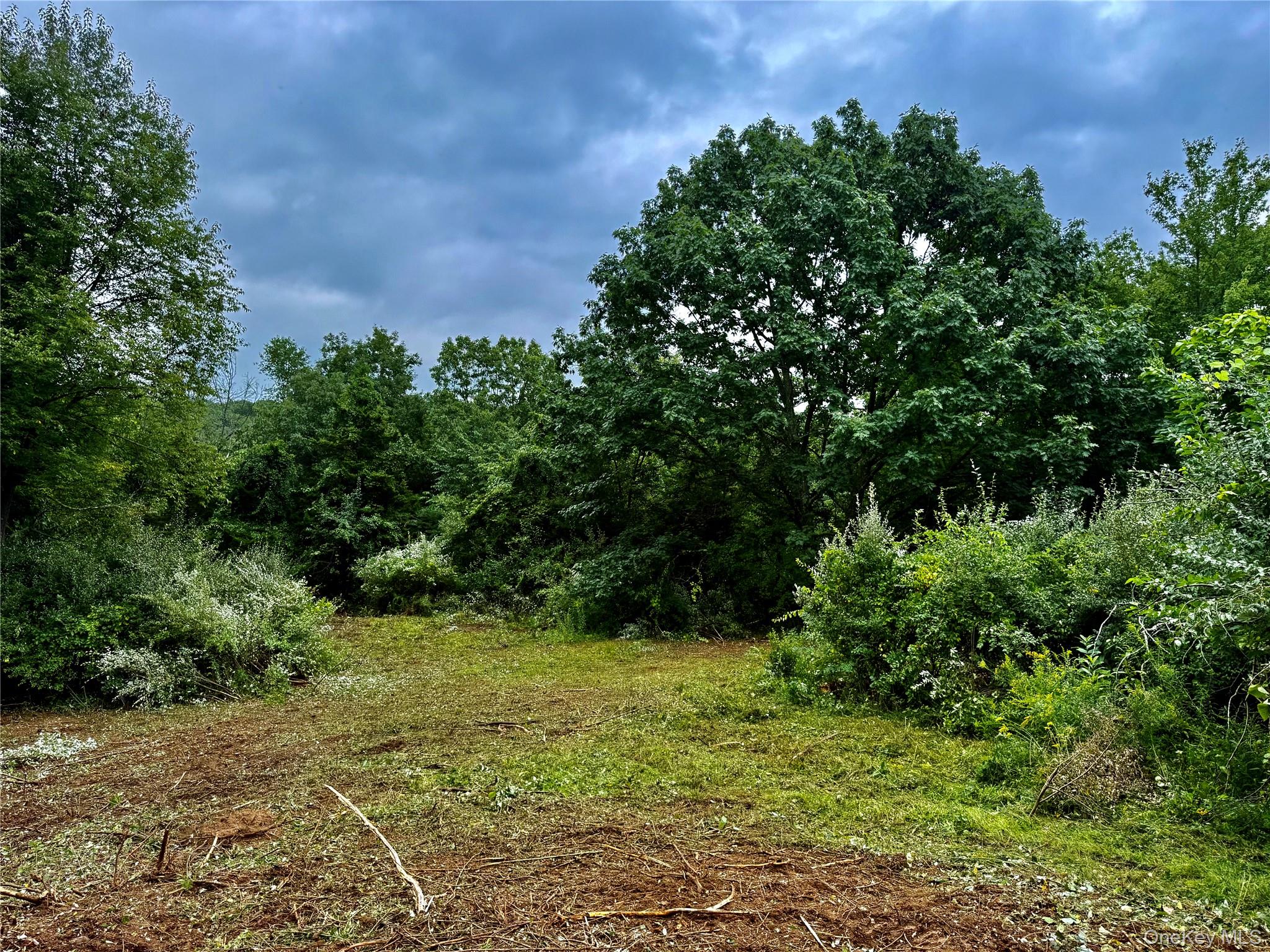 150 Weaver Road Property Photo 6