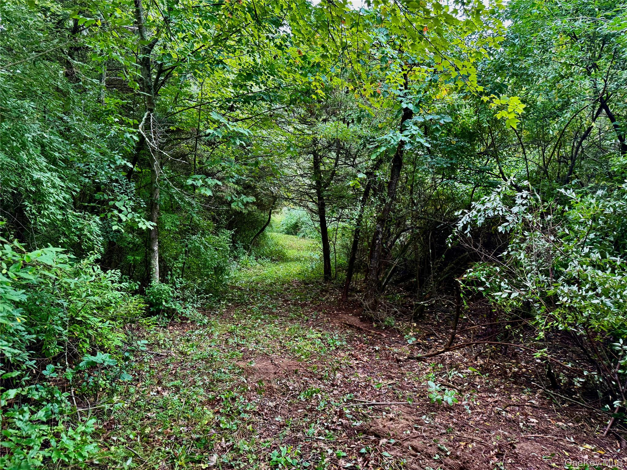 150 Weaver Road Property Photo 7