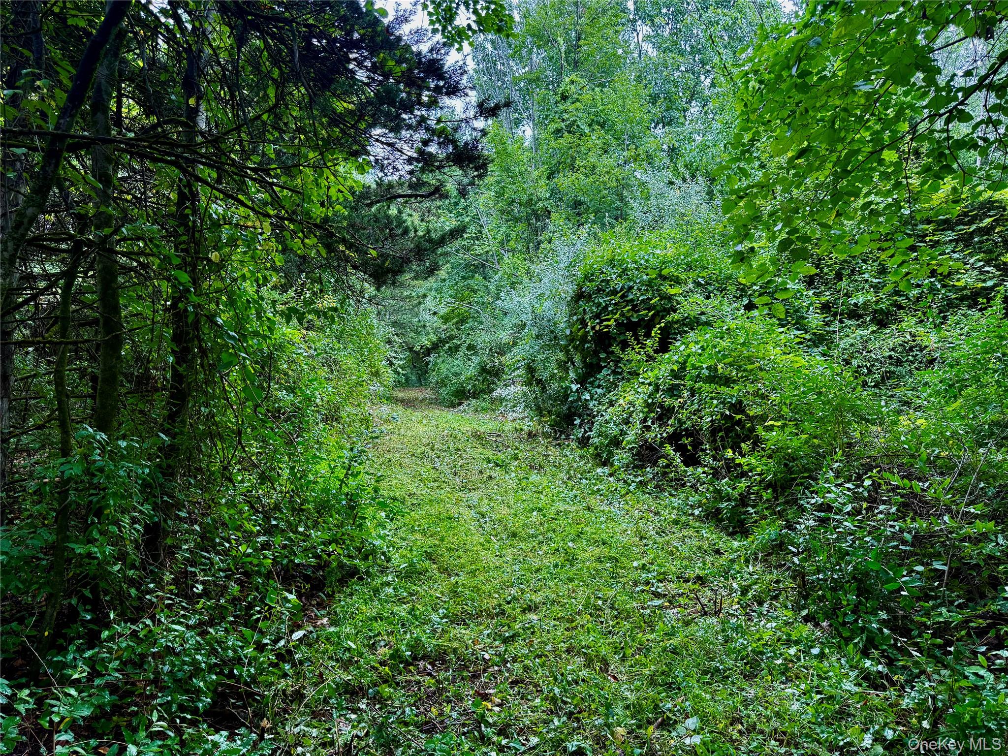 150 Weaver Road Property Photo 8