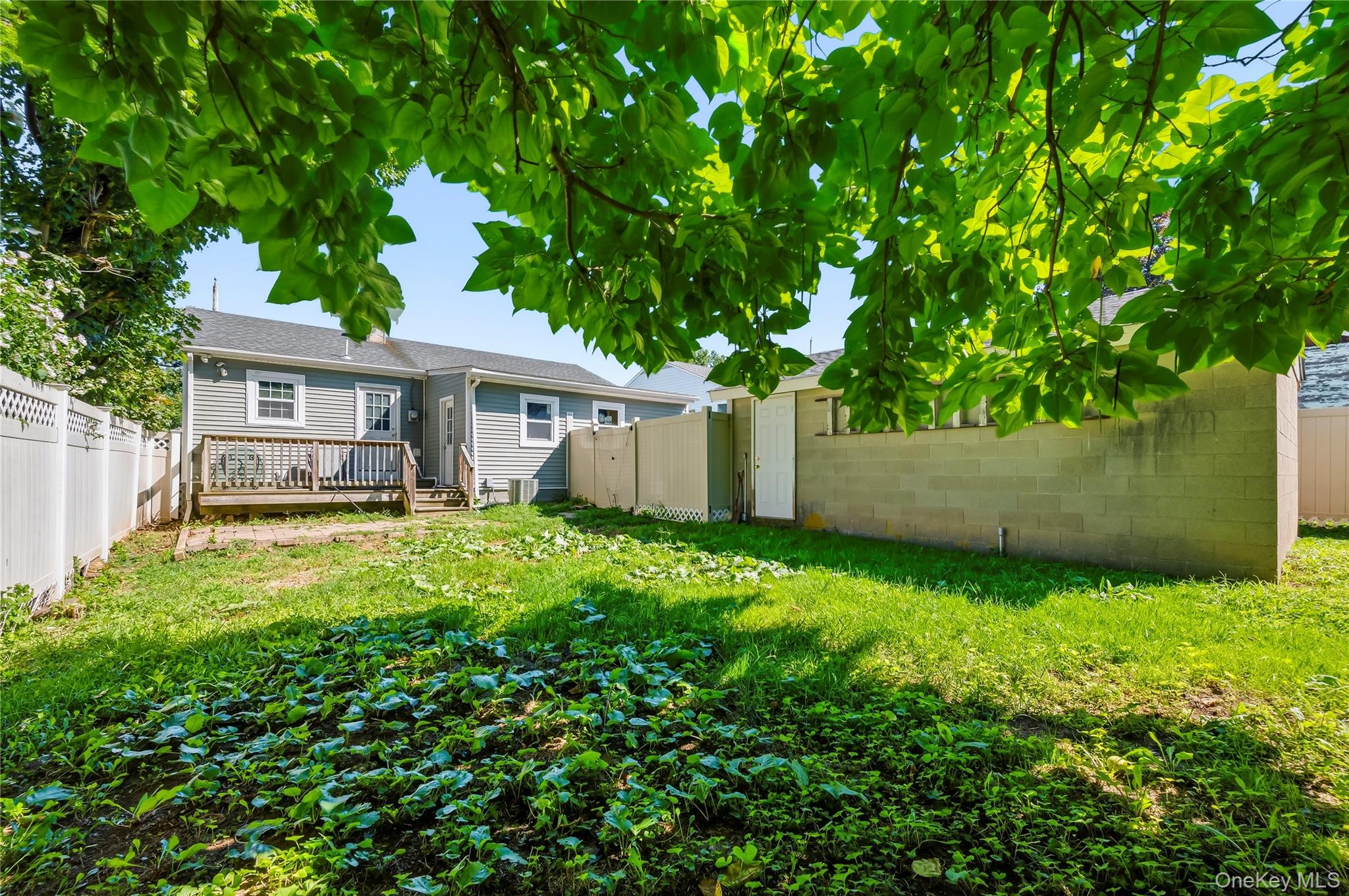 19 Blake Street Property Photo 22