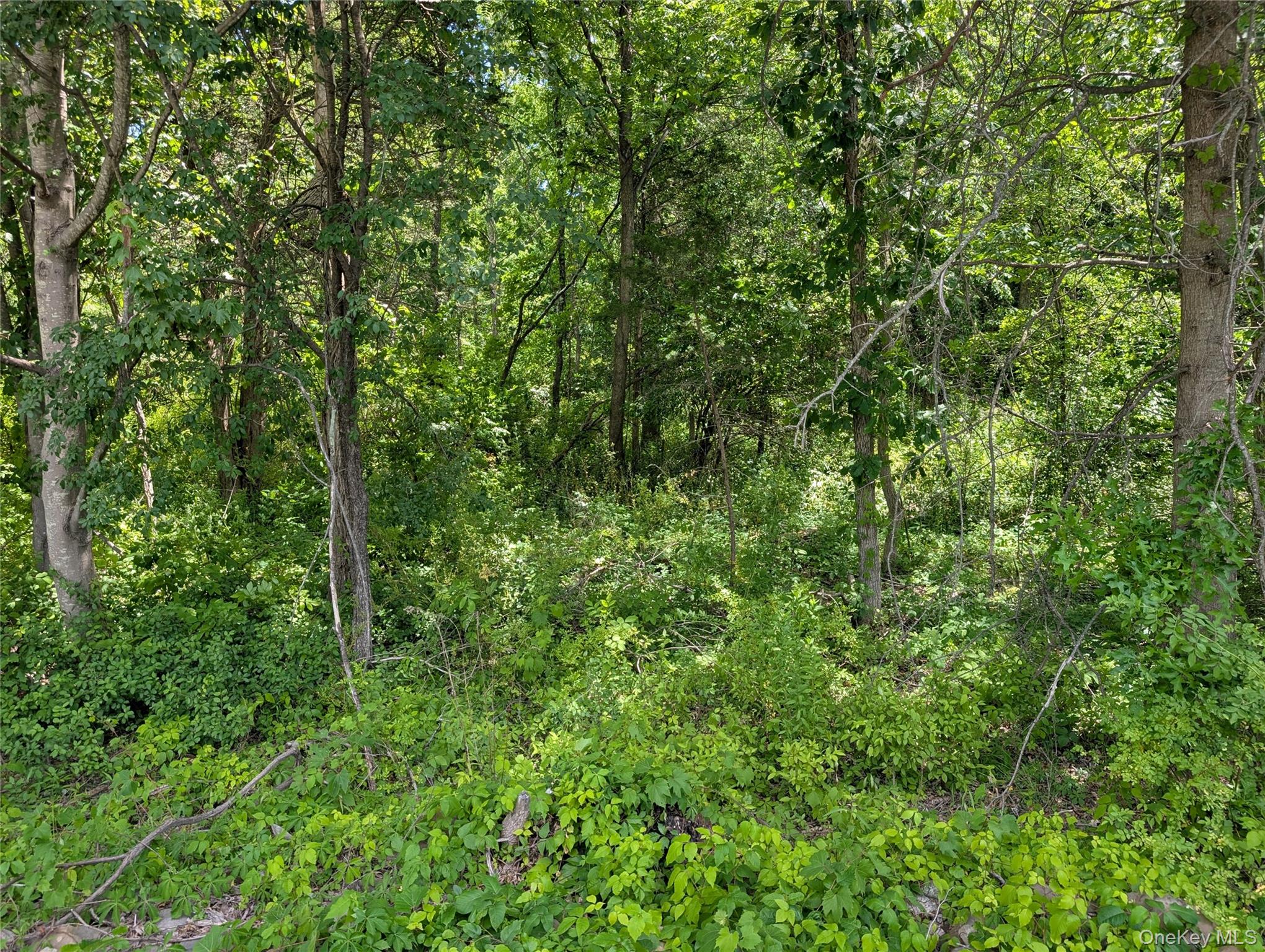 1043878 Property Photo 12