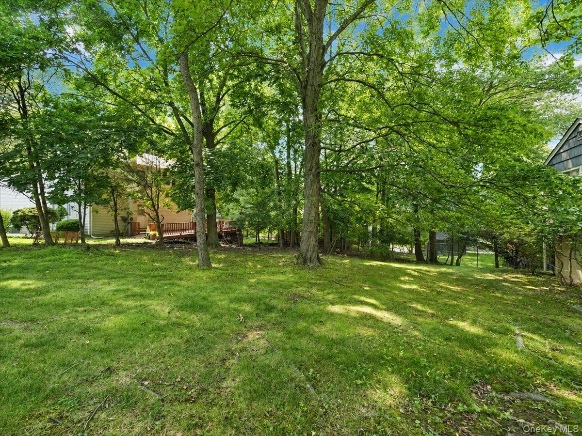 157 Washington Avenue Property Photo 34