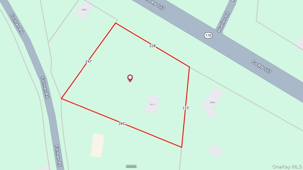 2971 State Route 17b Property Photo 49