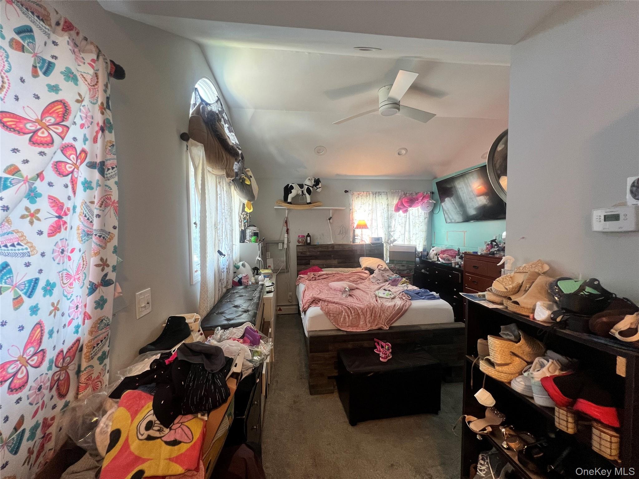 59 Whittier Drive Property Photo 14