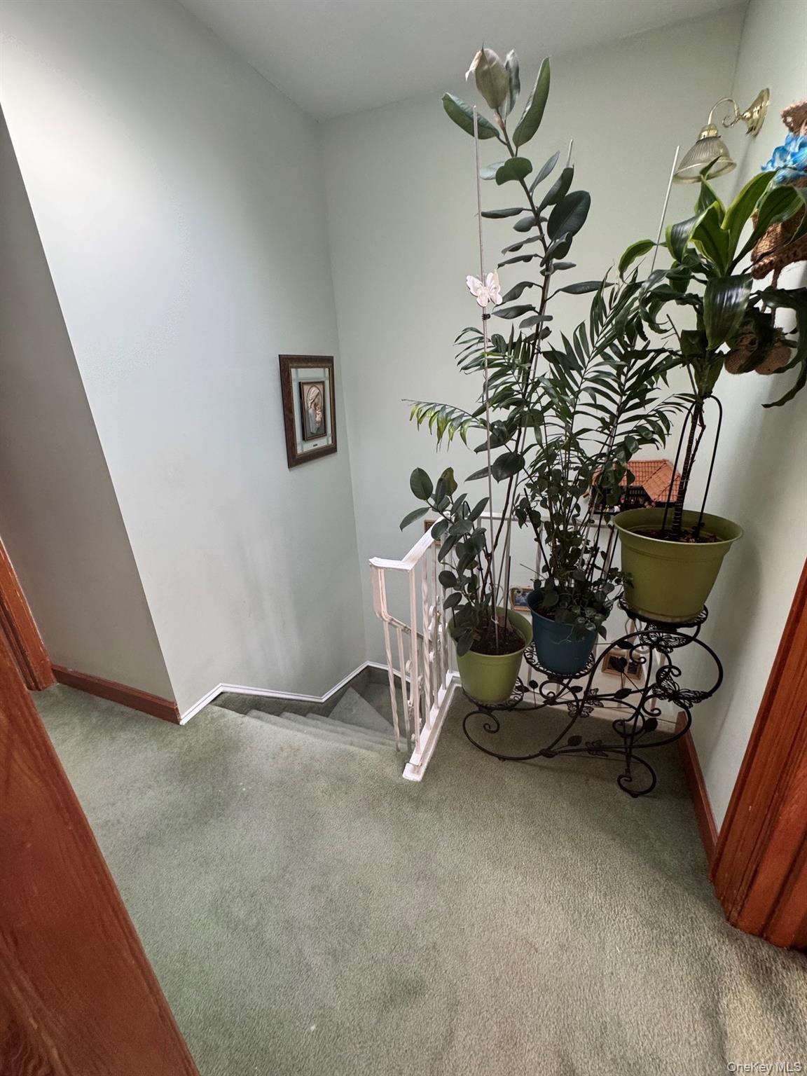91-53 96th Street Property Photo 23