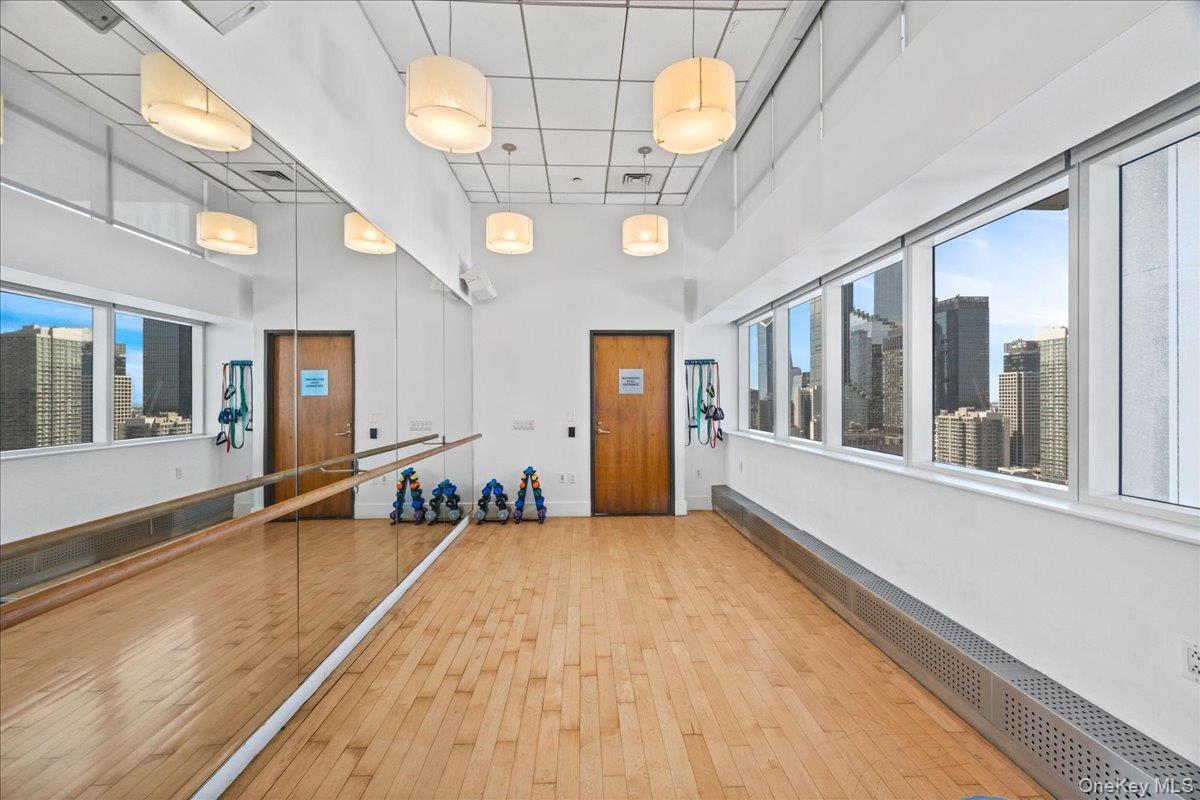 350 W 42nd Street 19i Property Photo 19