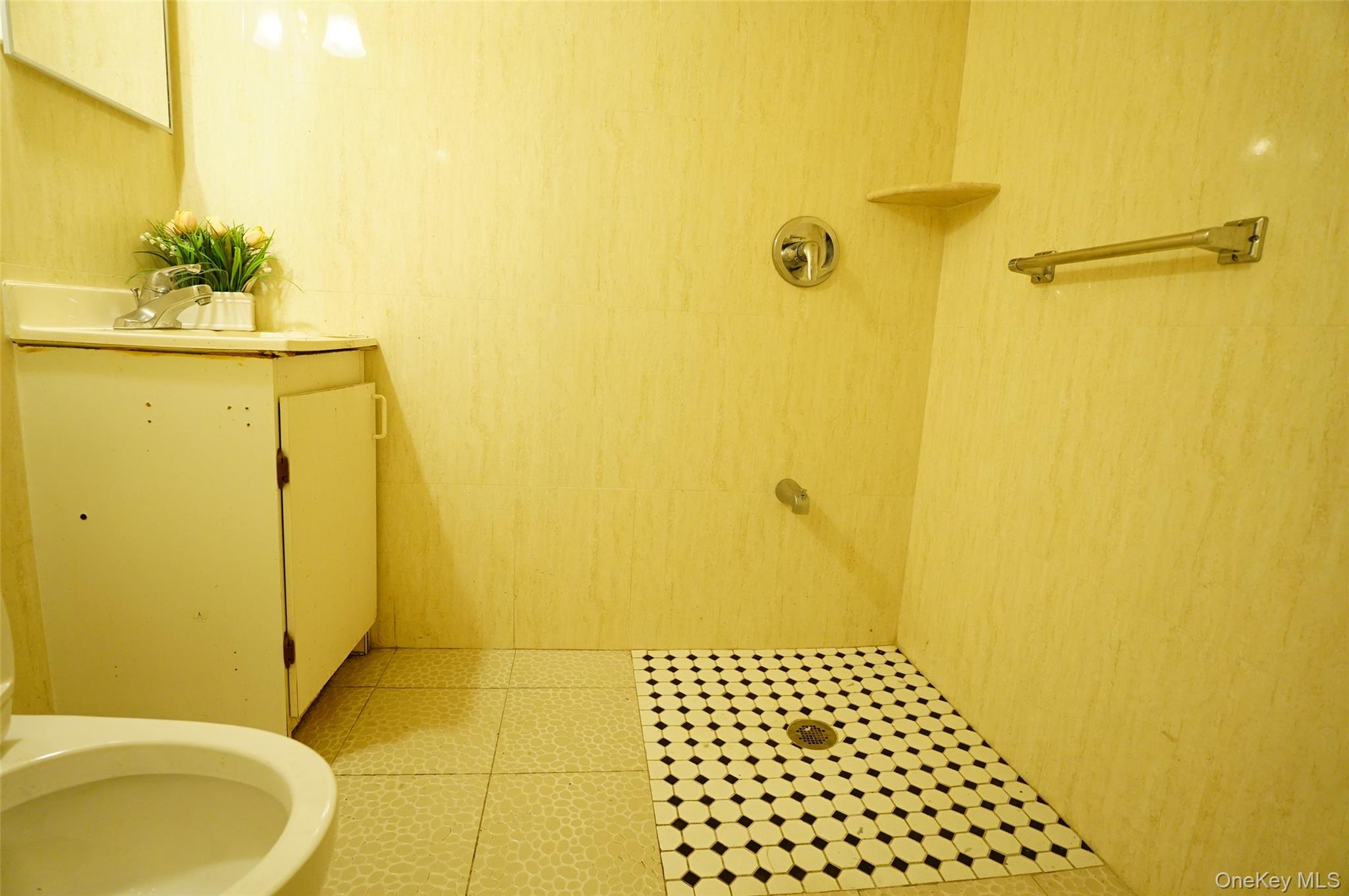 43-58 163rd Street Property Photo 19