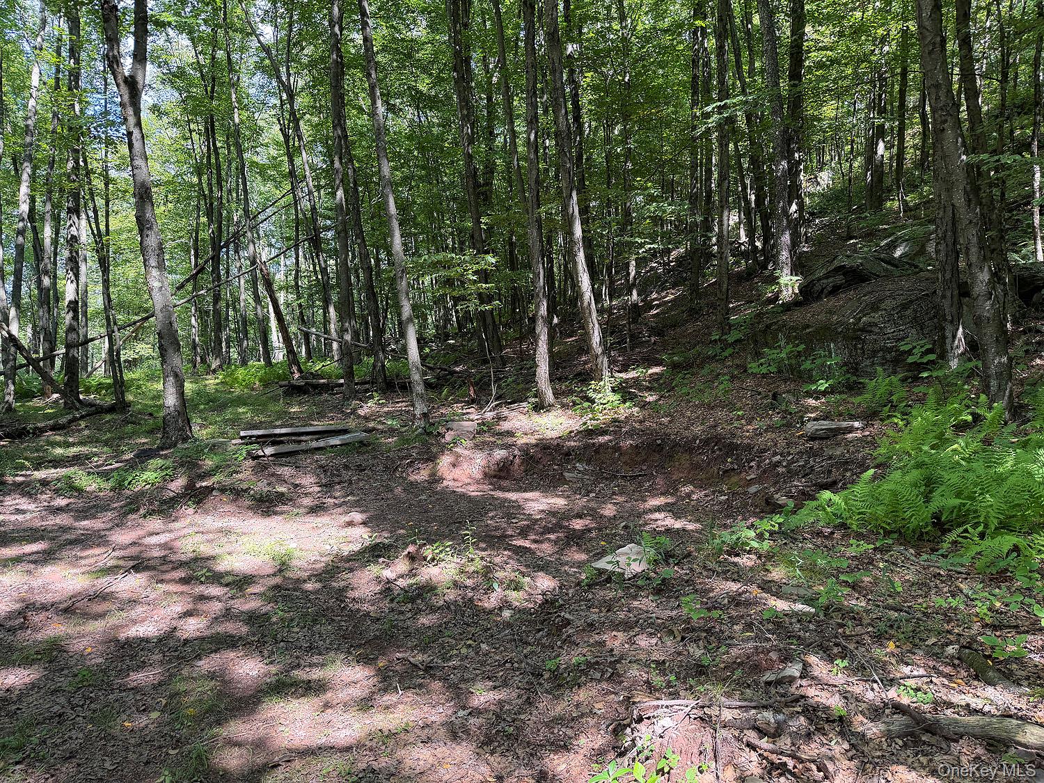 0 Hammer Road Property Photo 13