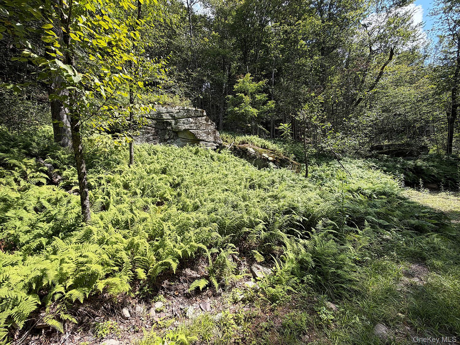 0 Hammer Road Property Photo 16