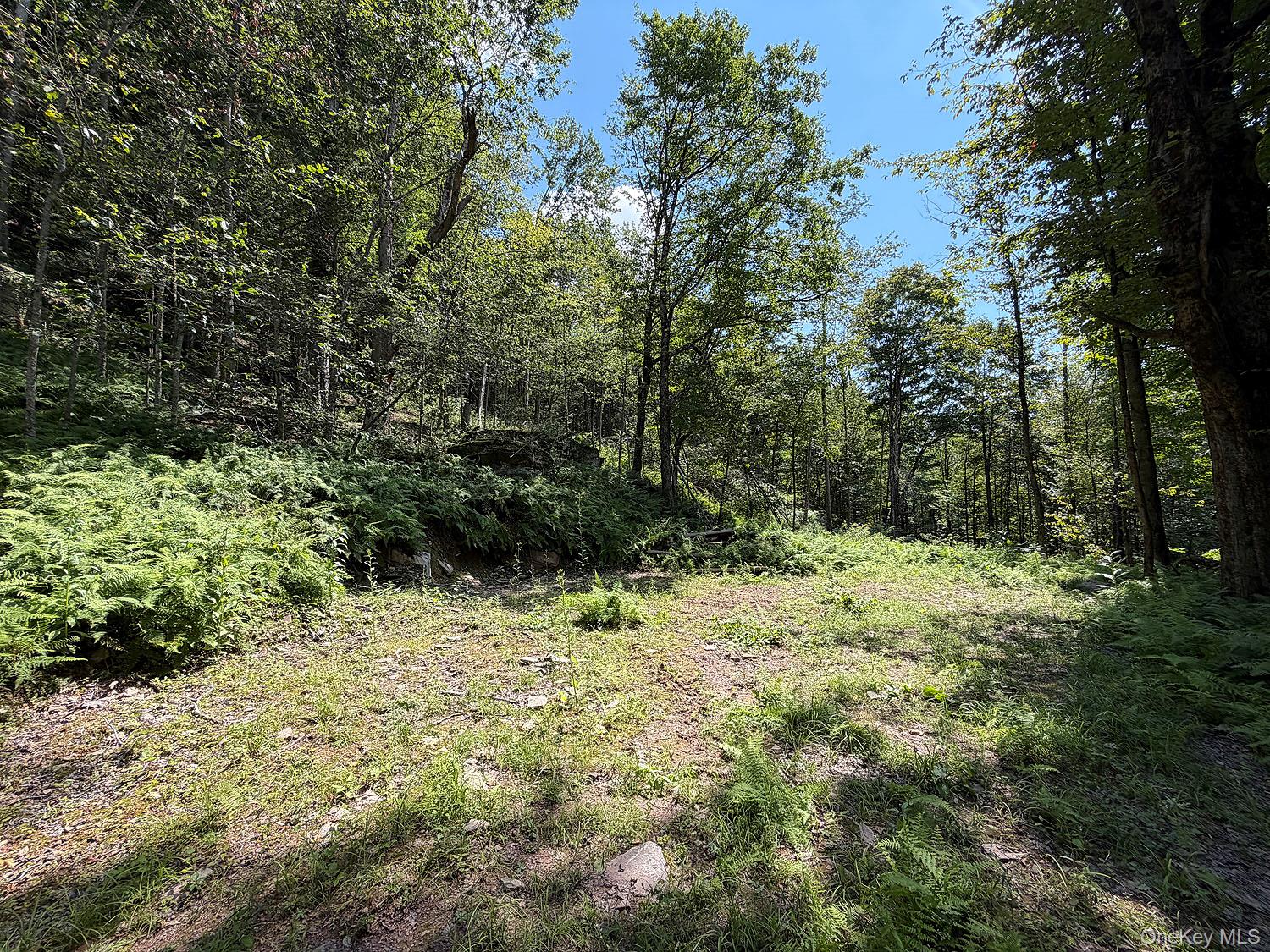 0 Hammer Road Property Photo 17