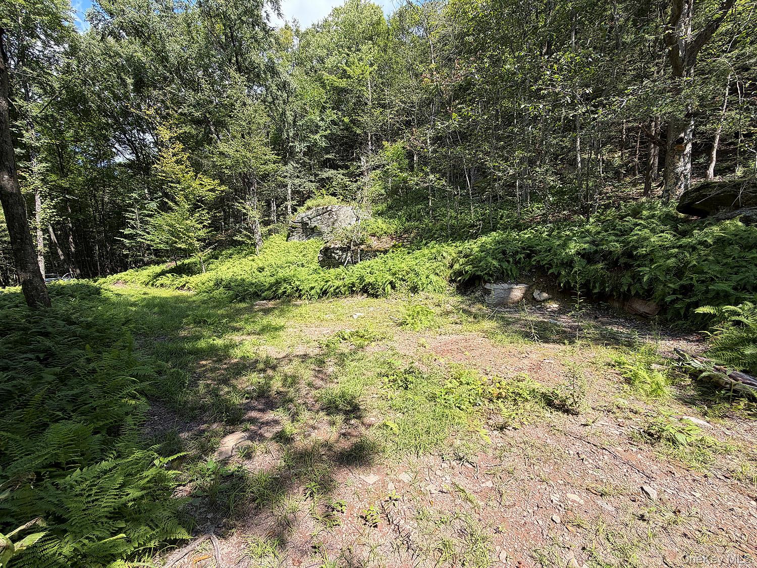 0 Hammer Road Property Photo 21