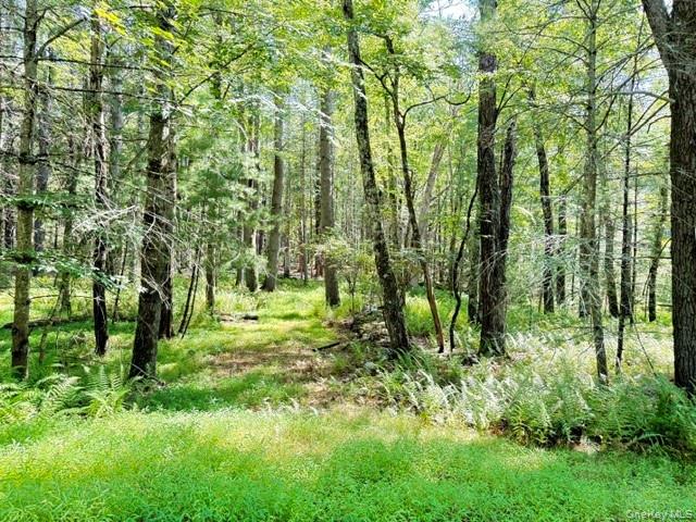 Lot 3.18 Fish Cabin Road Property Photo 1