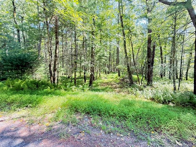 Lot 3.18 Fish Cabin Road Property Photo 2