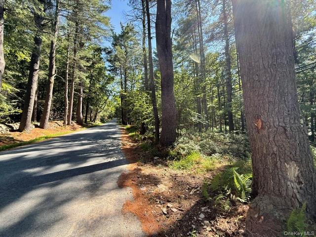 Lot 3.18 Fish Cabin Road Property Photo 4