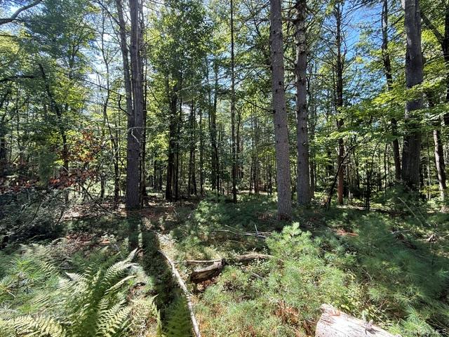 Lot 3.18 Fish Cabin Road Property Photo 5