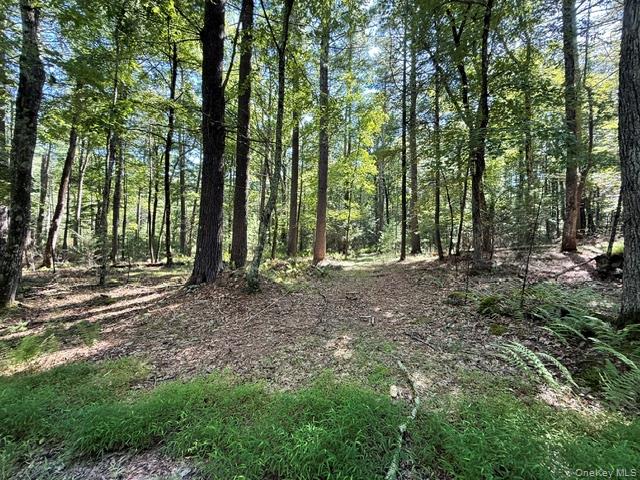 Lot 3.18 Fish Cabin Road Property Photo 6