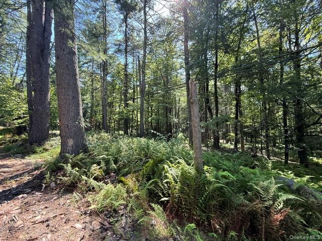 Lot 3.18 Fish Cabin Road Property Photo 7