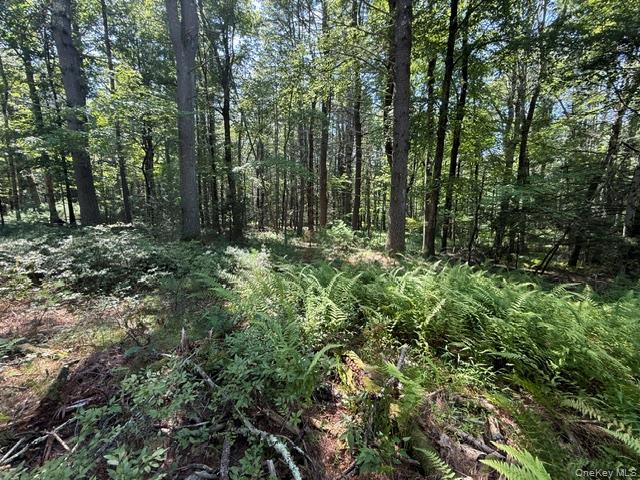 Lot 3.18 Fish Cabin Road Property Photo 8