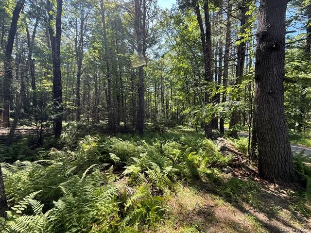 Lot 3.18 Fish Cabin Road Property Photo 9