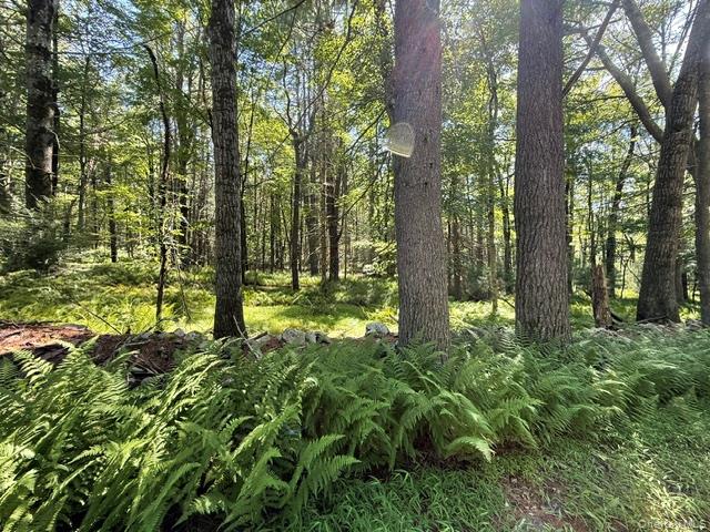 Lot 3.18 Fish Cabin Road Property Photo 10