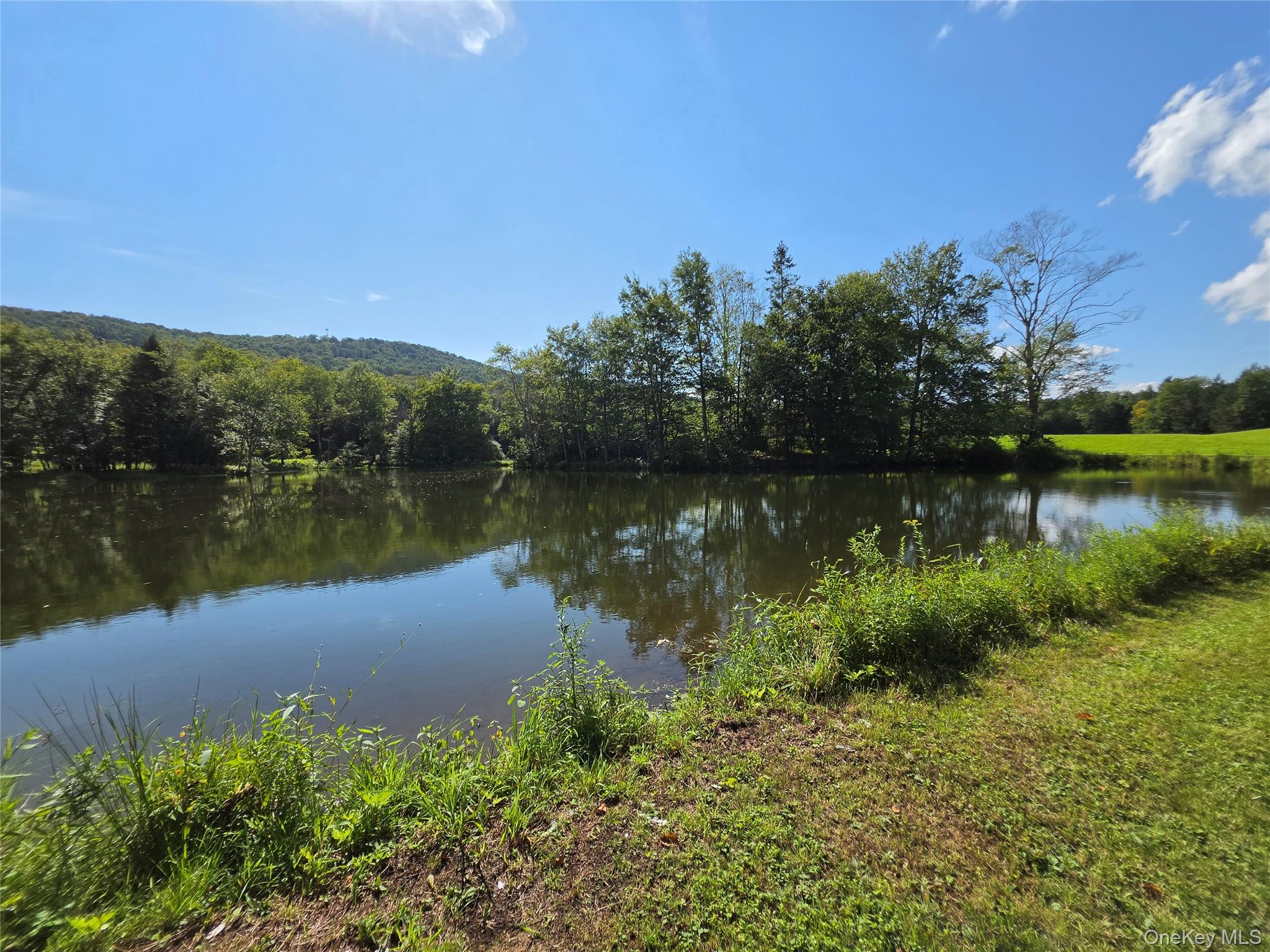600 Jeffersonville North Branch Road Property Photo 48