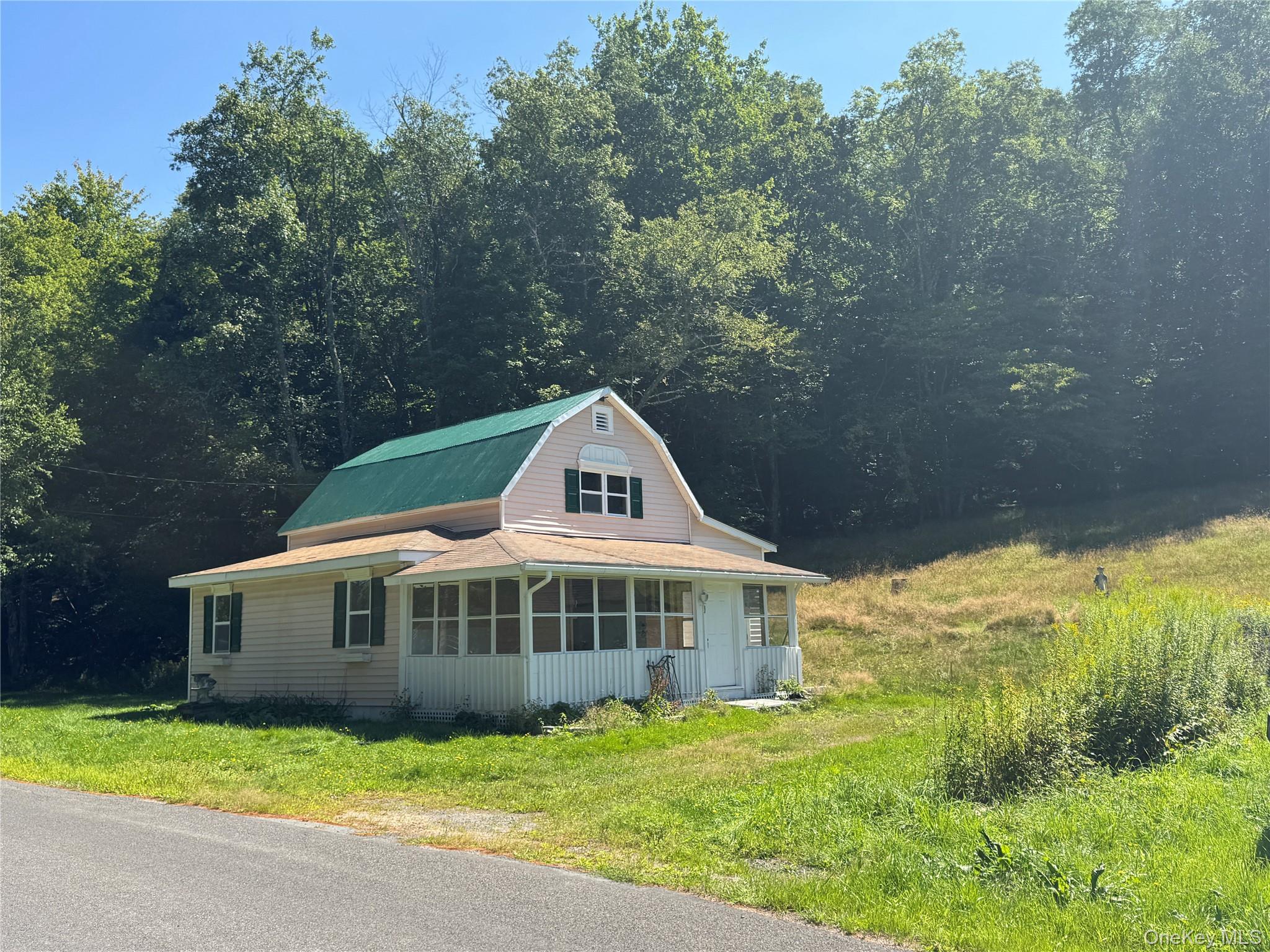 31 Willowemoc Road Property Photo 1
