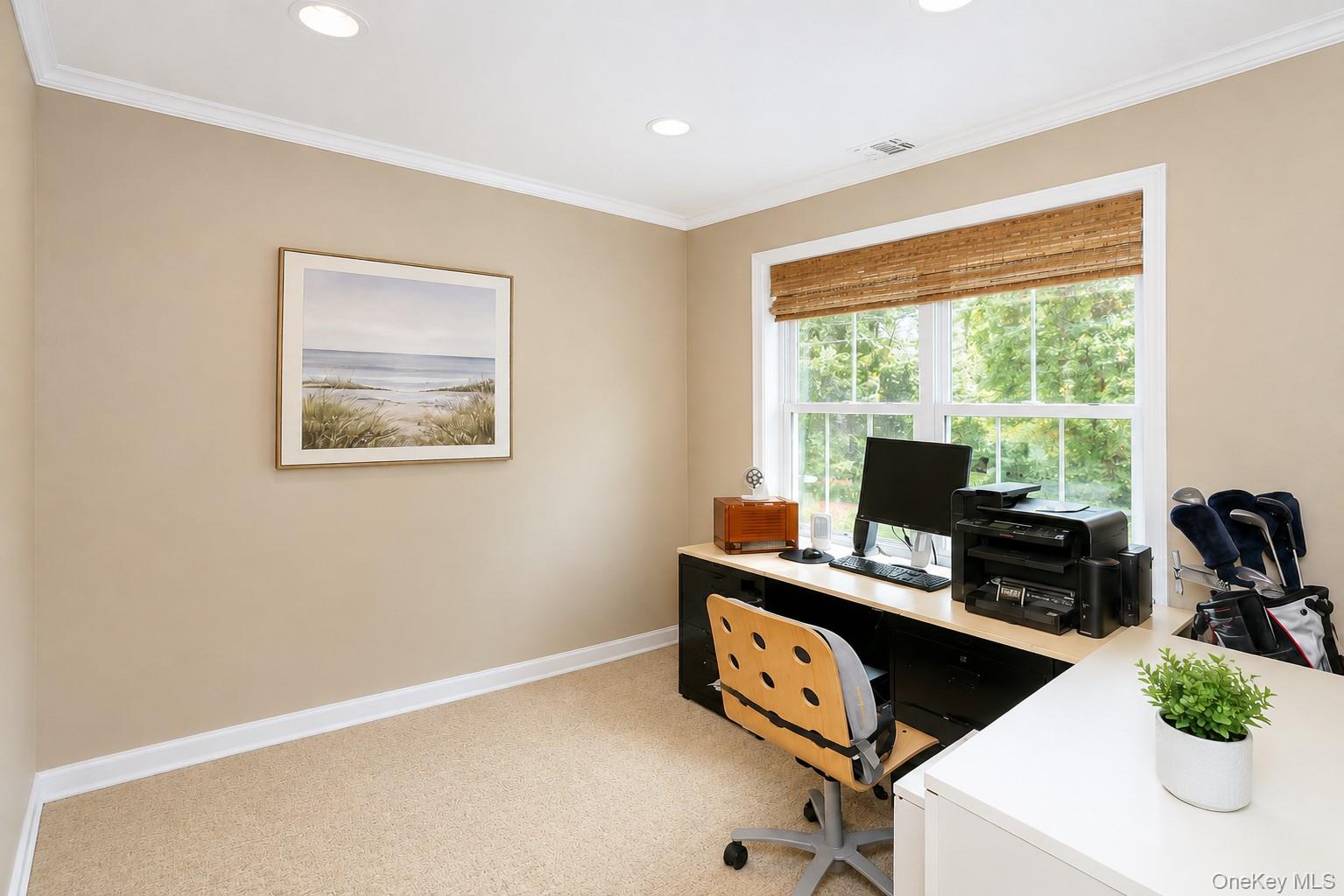 1039 Savoy Drive Property Photo 12