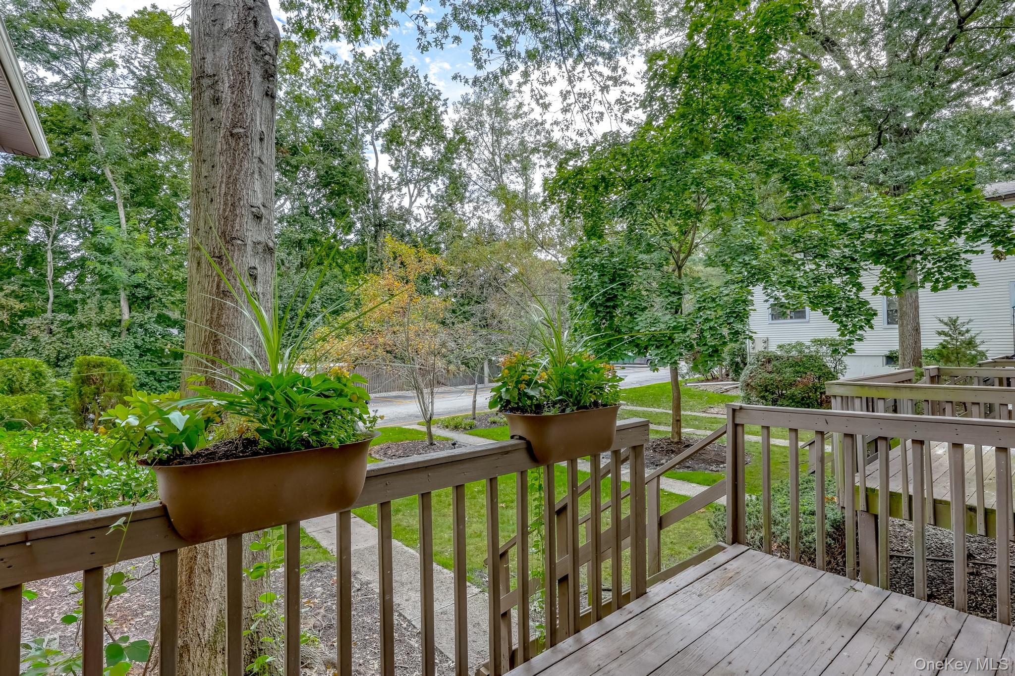 38 Somerset Drive Property Photo 19