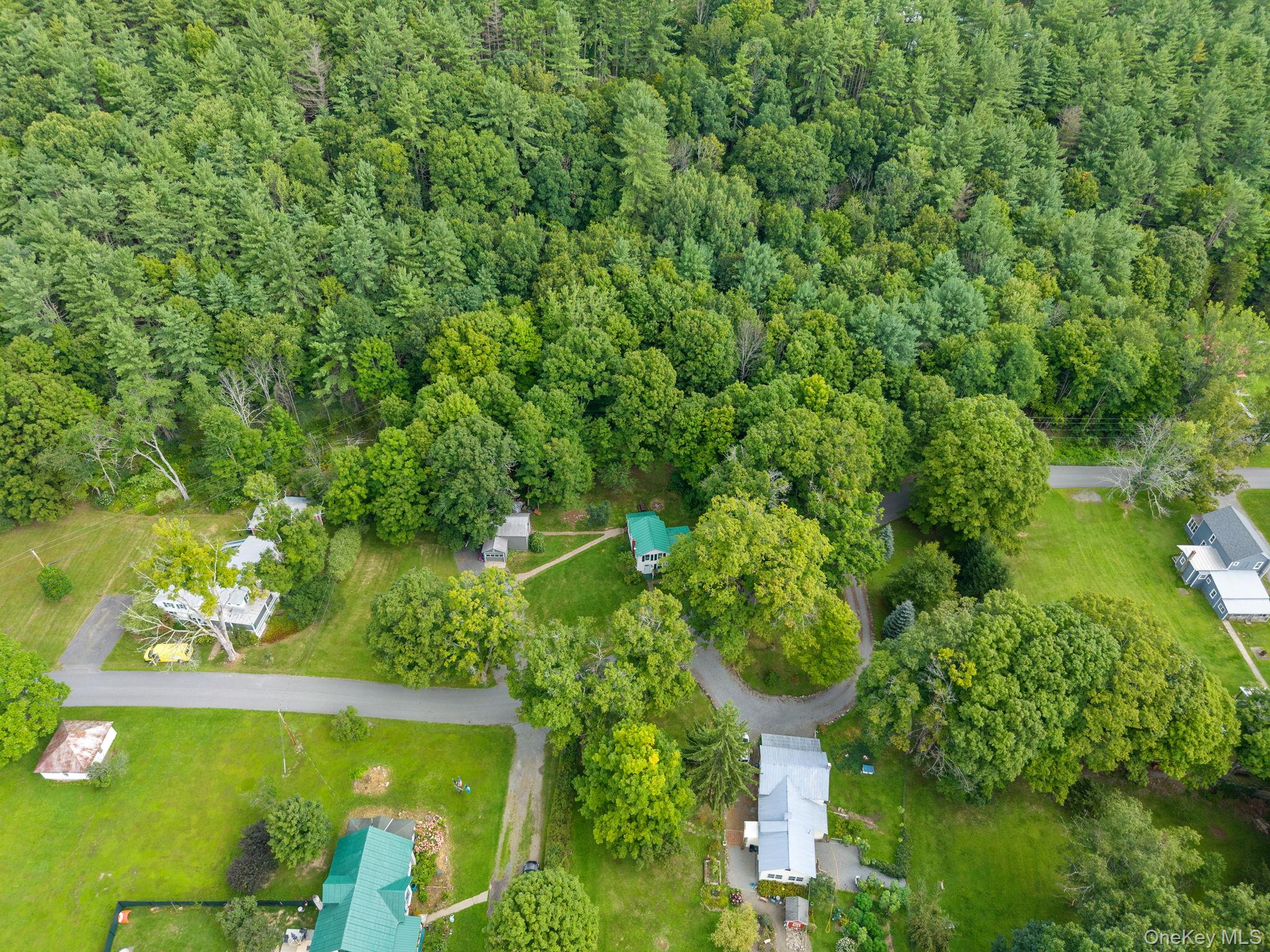 150 Pleasant Valley Rd, Fultonham Property Photo 46