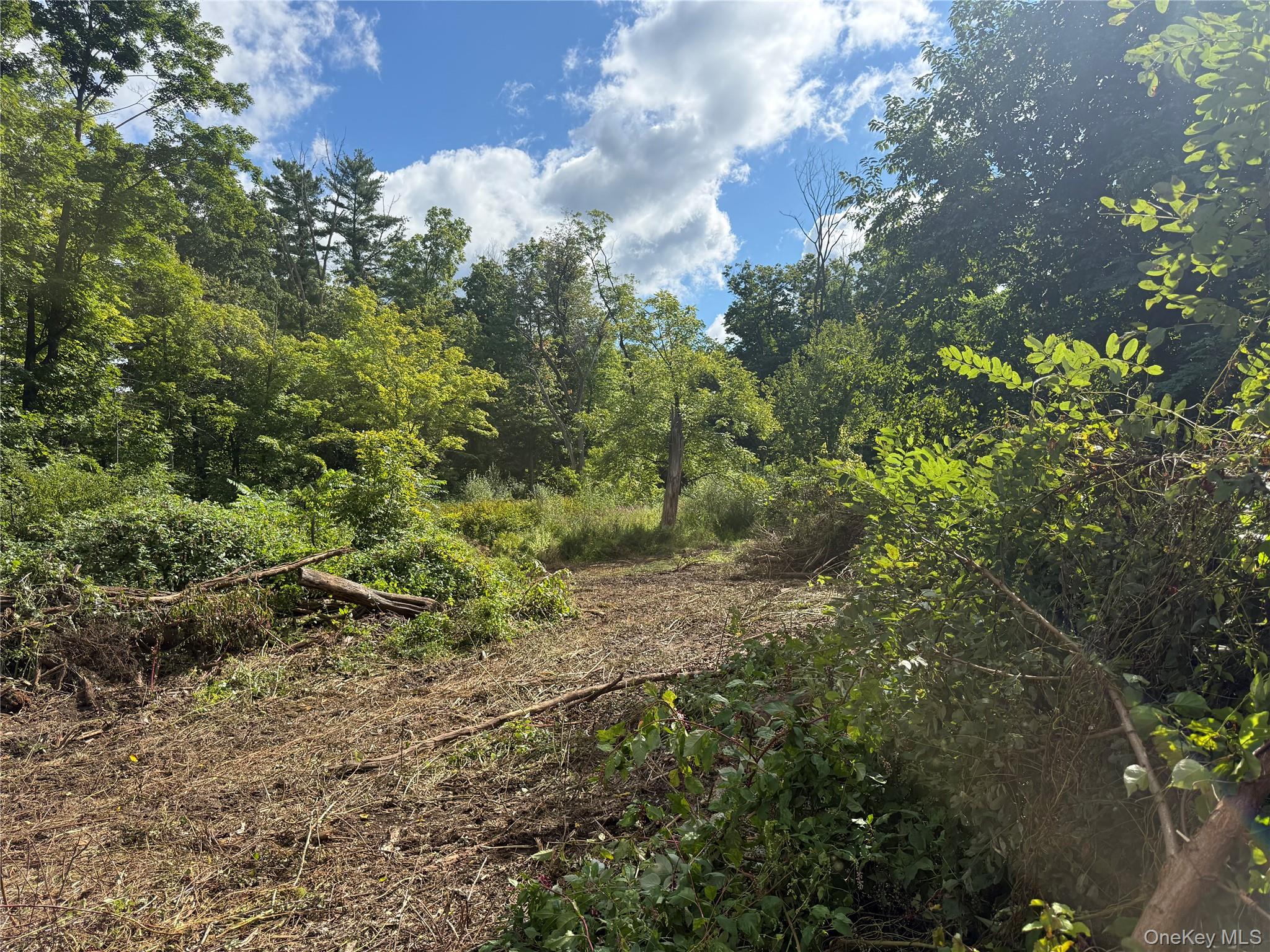 26 Fishkill Hook Road Property Photo 4