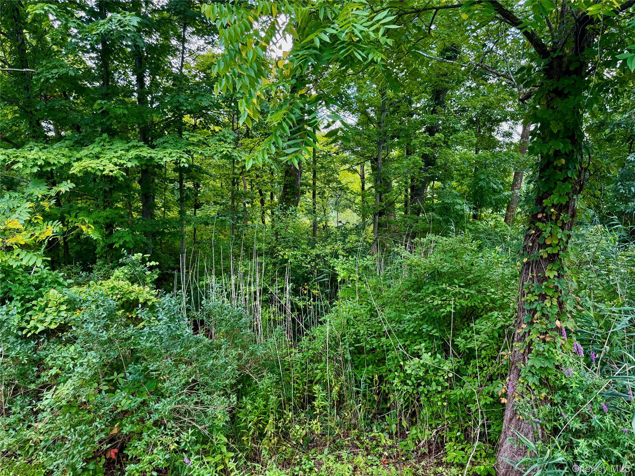 26 Fishkill Hook Road Property Photo 8