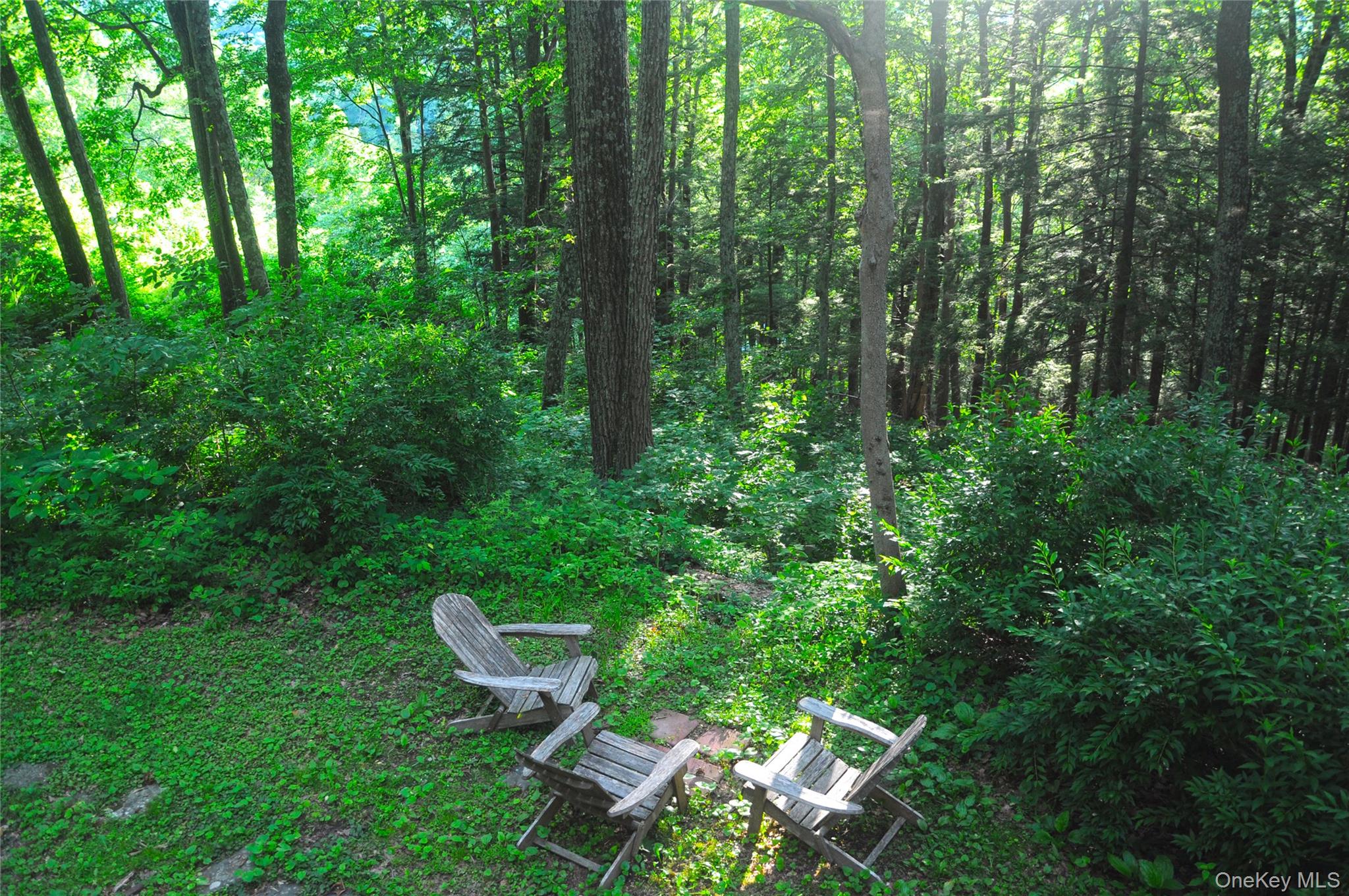 38 Horseshoe Bend Road Property Photo 13