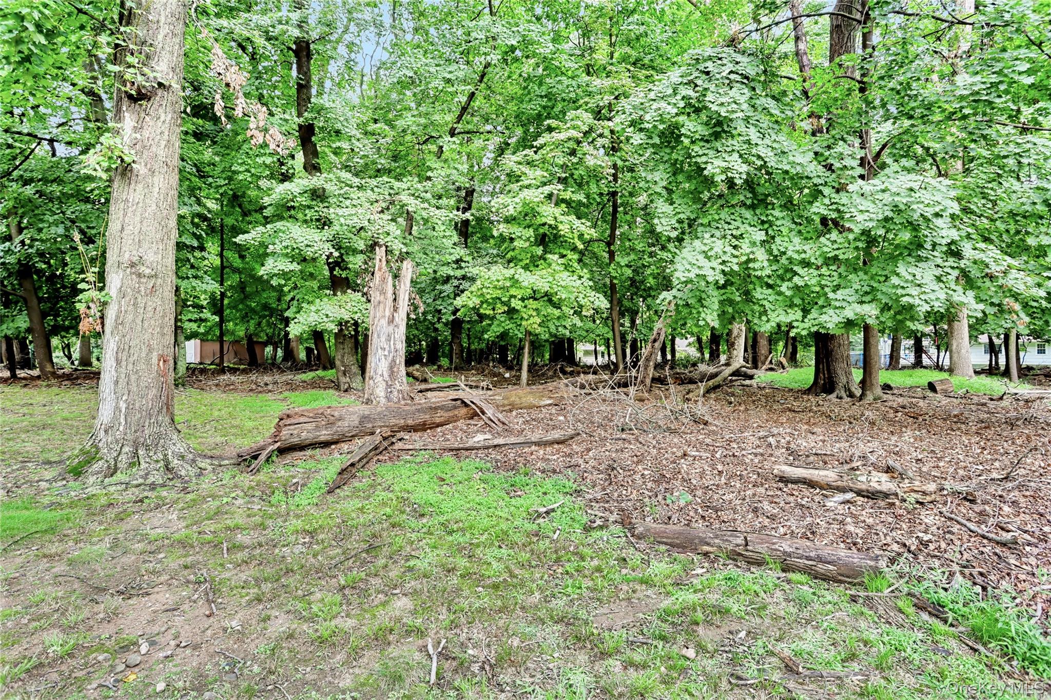 9 Bluejay Street Property Photo 20