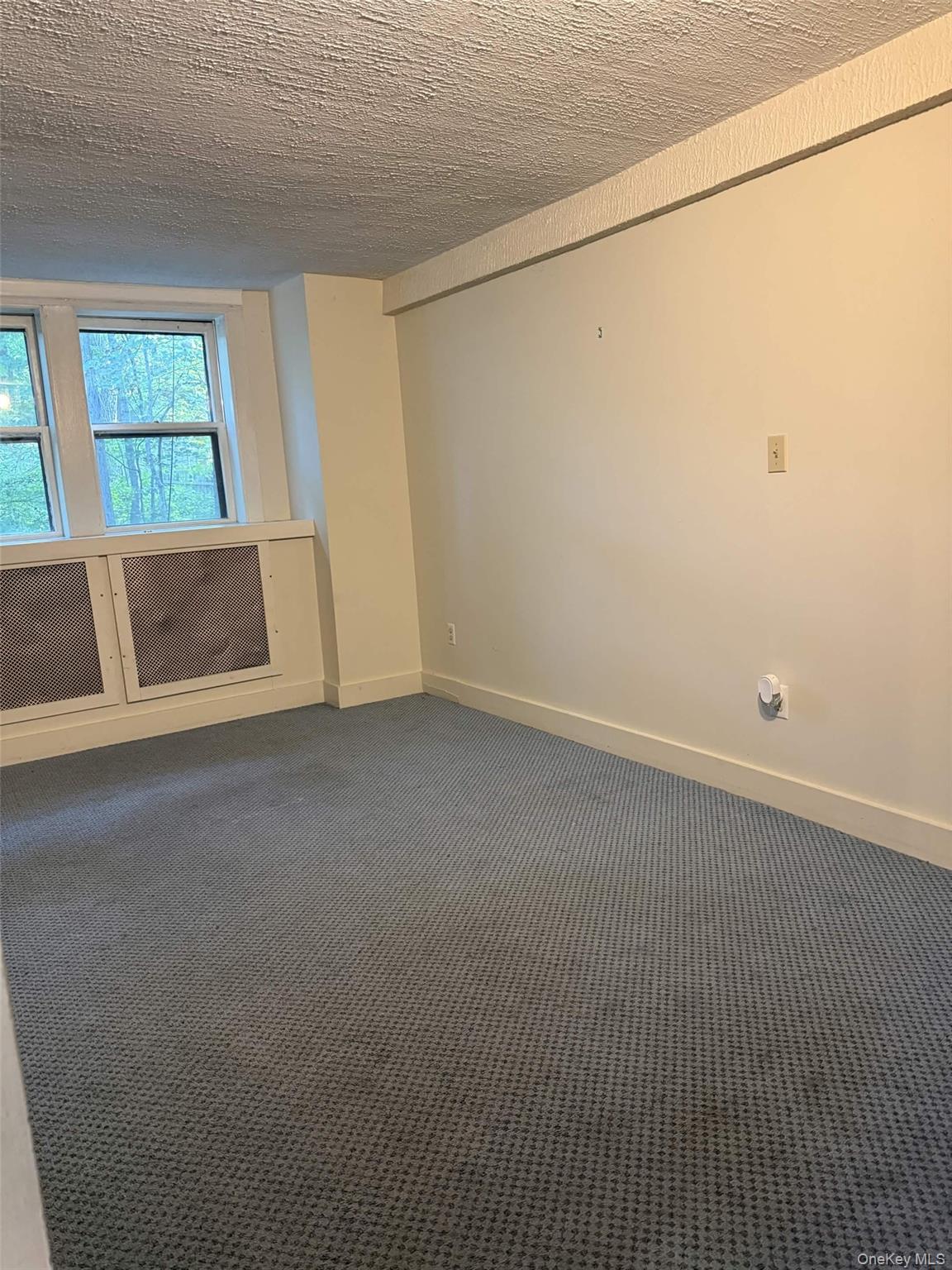 50 Route 343 A Property Photo 17