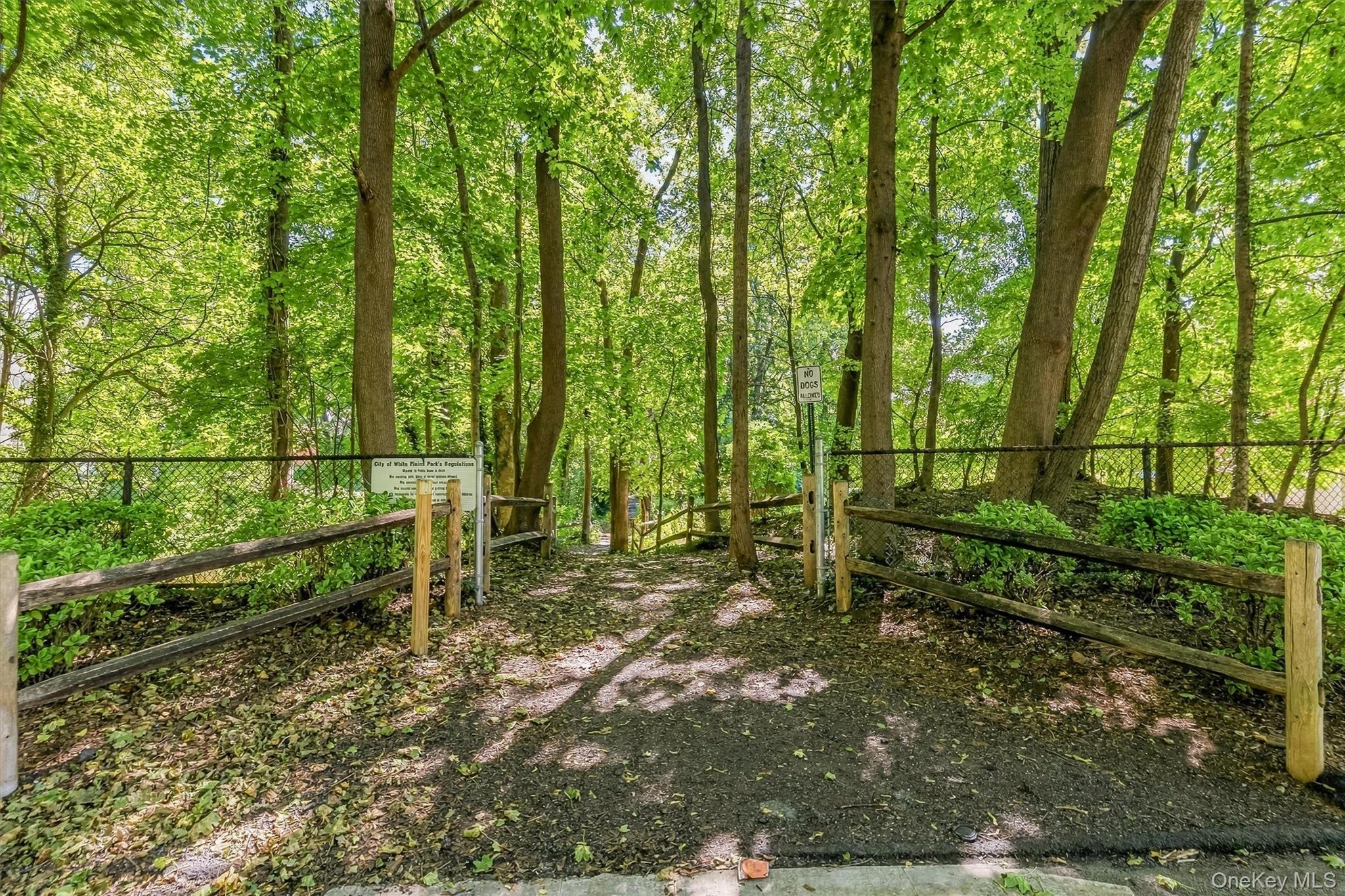 87 Bolton Avenue Property Photo 37