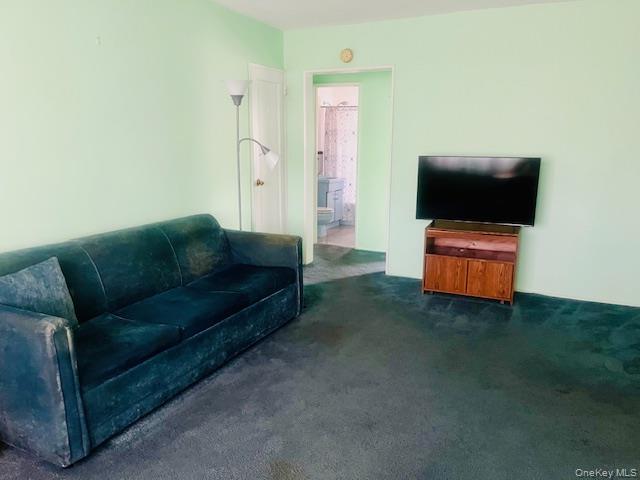 249-32 63rd Avenue 41227 Property Photo 11