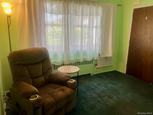 249-32 63rd Avenue 41227 Property Photo 19