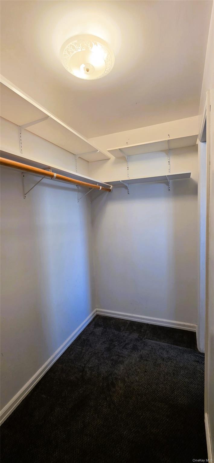 12 Robert Street Property Photo 9