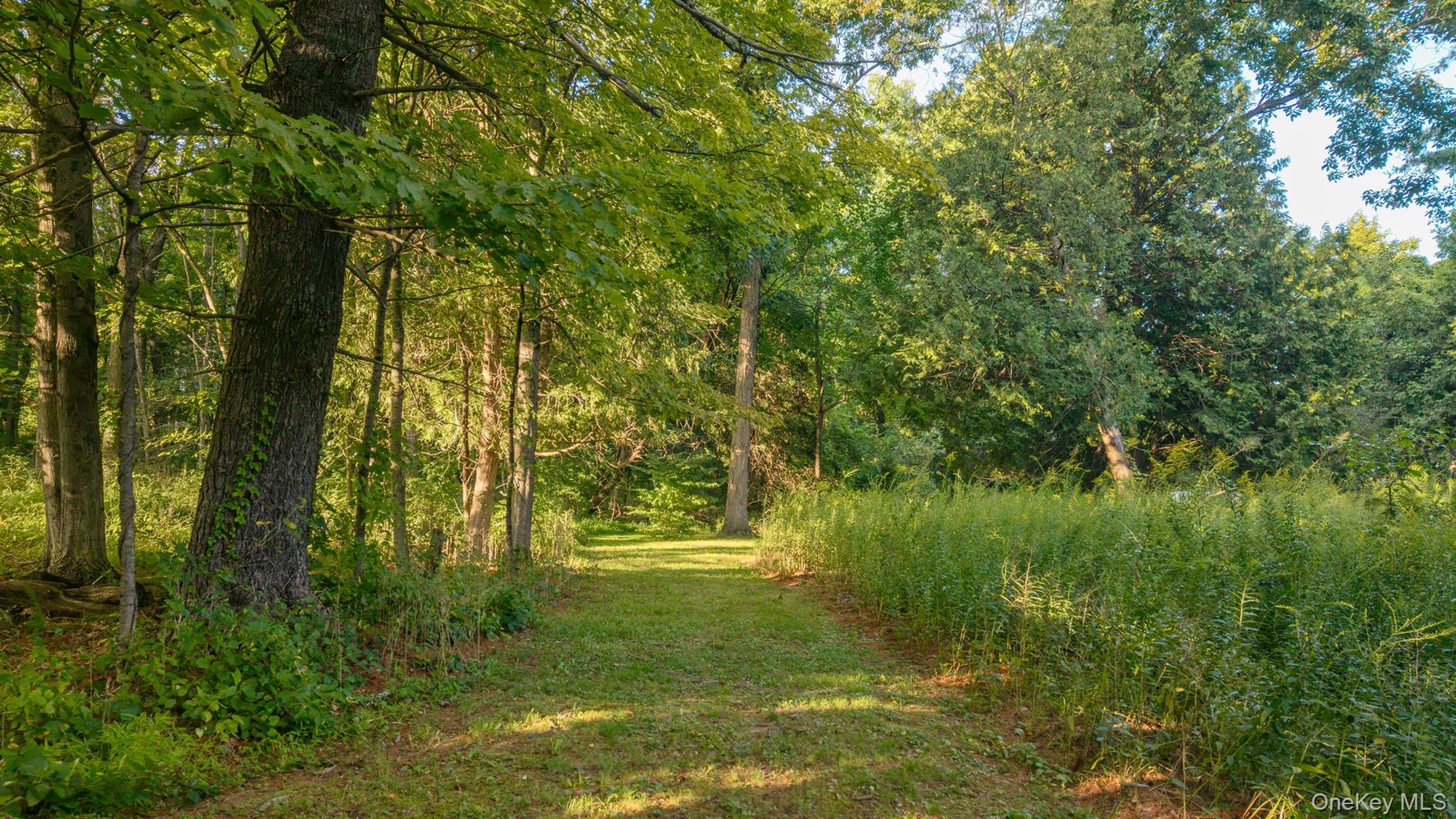 4314 Us Highway 209 Property Photo 44