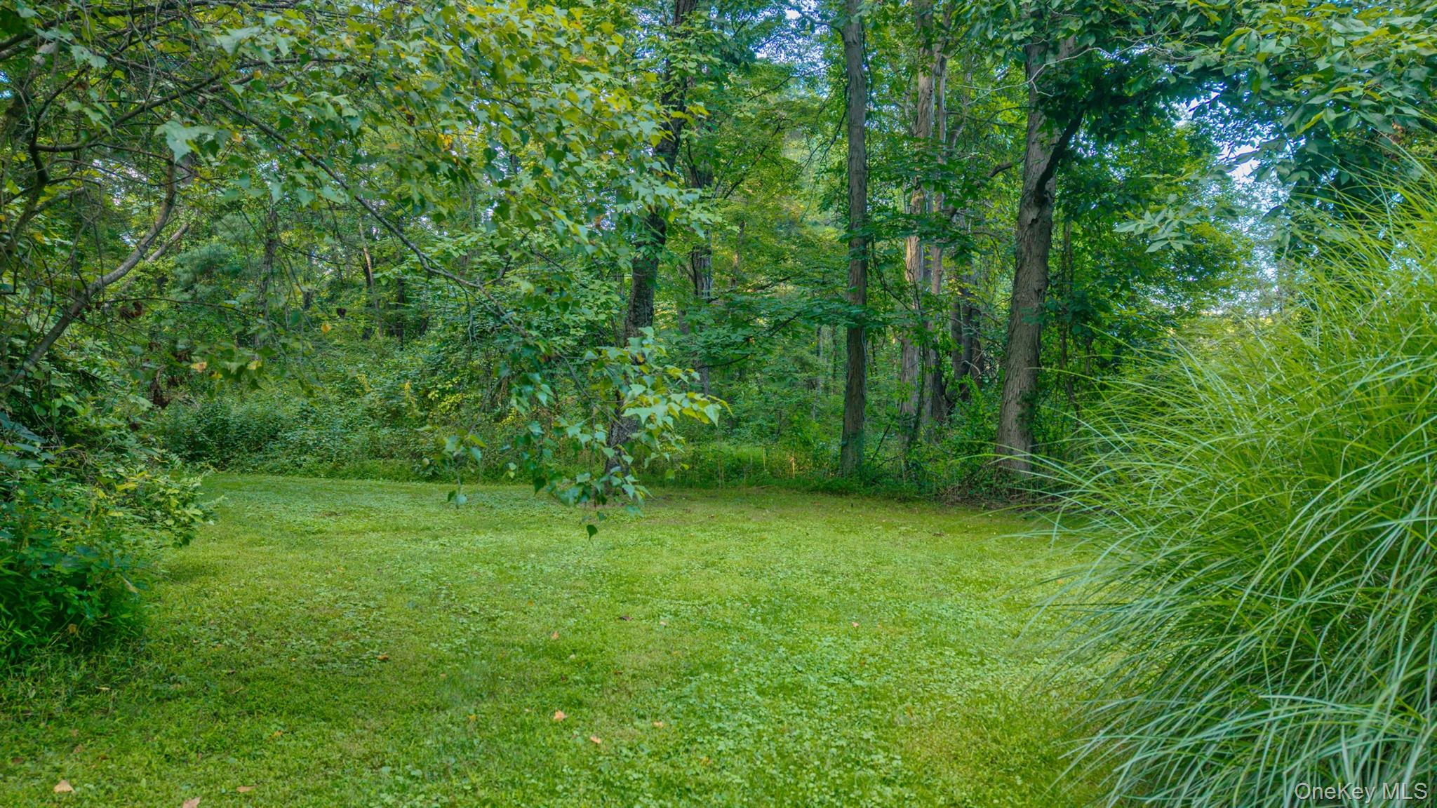 4314 Us Highway 209 Property Photo 46