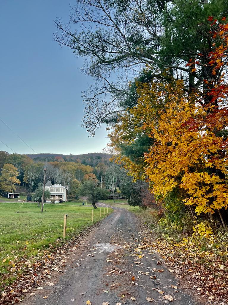 226 State Route 296 Property Photo 23