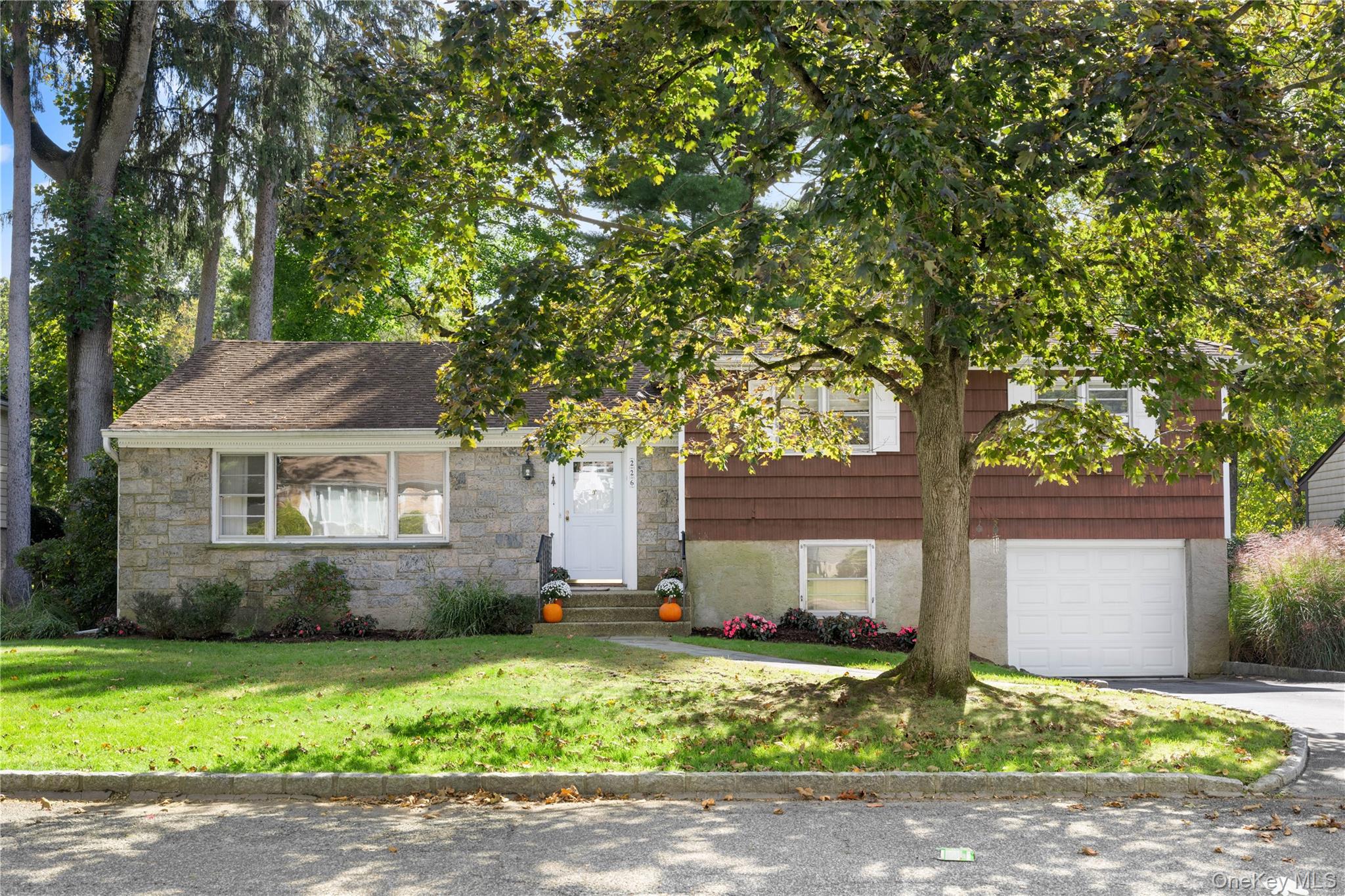226 Rosehill Avenue Property Photo 1