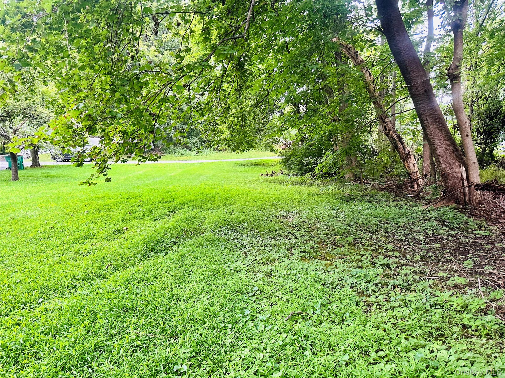 14 Macdonnell Heights Property Photo 18
