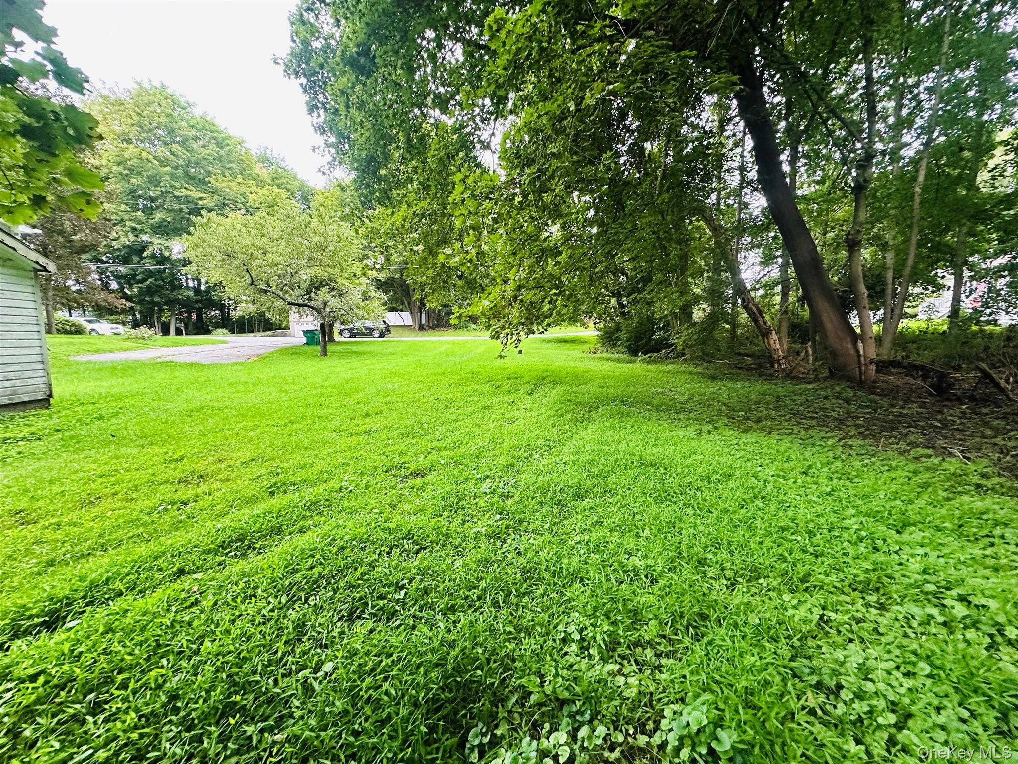 14 Macdonnell Heights Property Photo 19