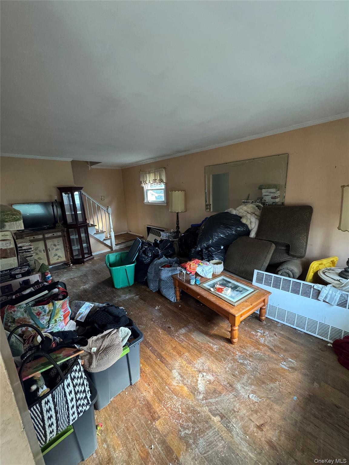 283 Doherty Avenue Property Photo 3