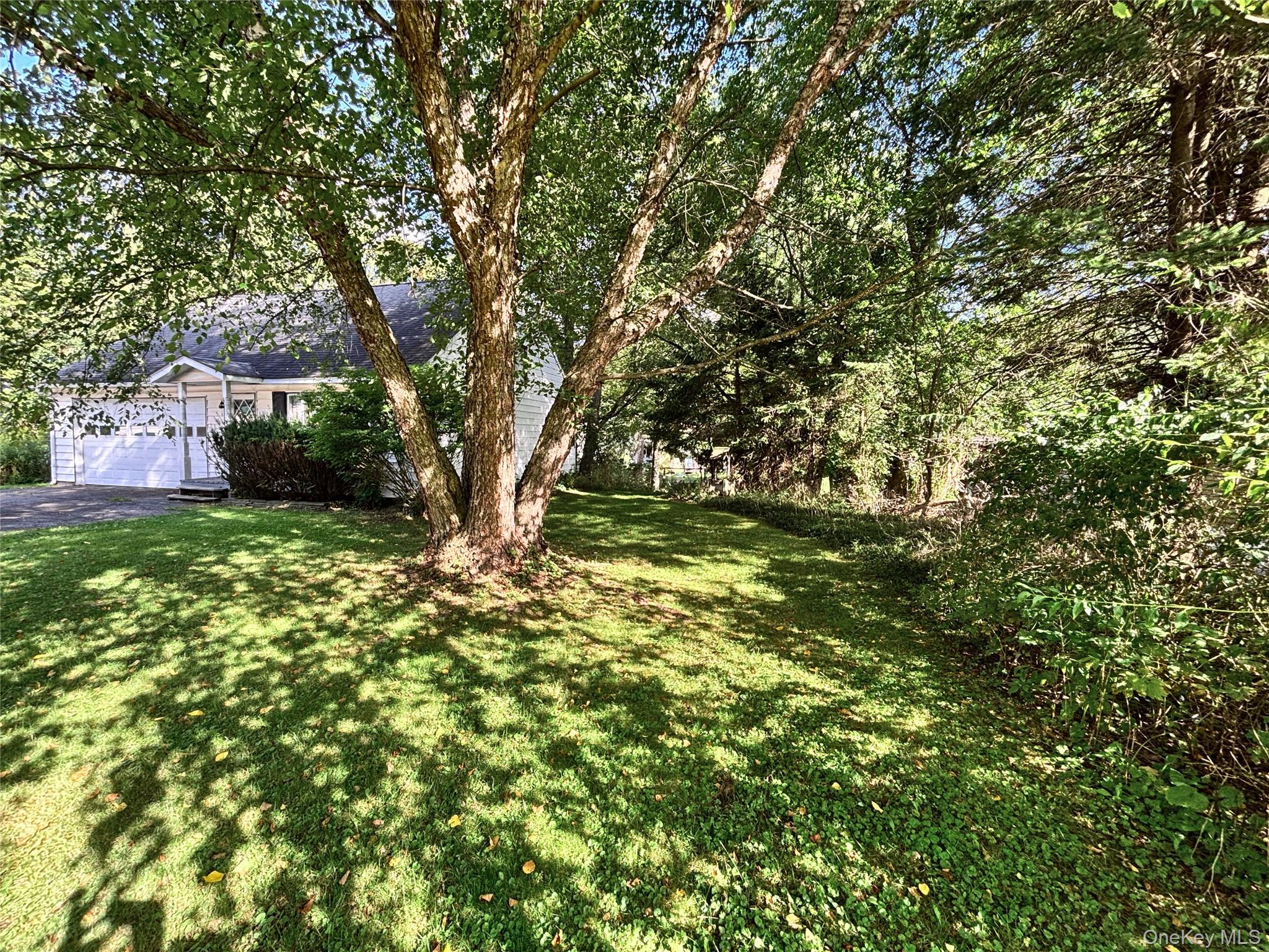 193 Main Street Property Photo 39